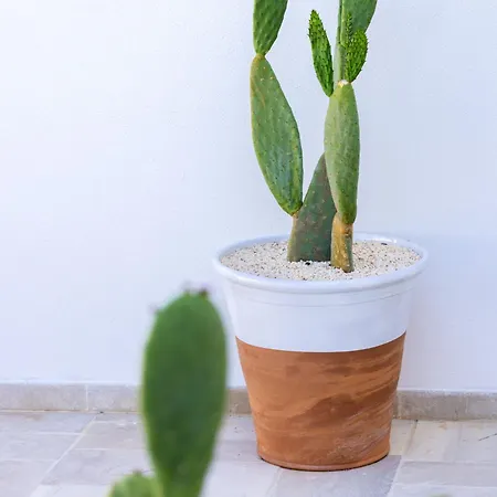 فندق مبيت وإفطار De Nuzzo - توري سان جيوفاني أوغينتو